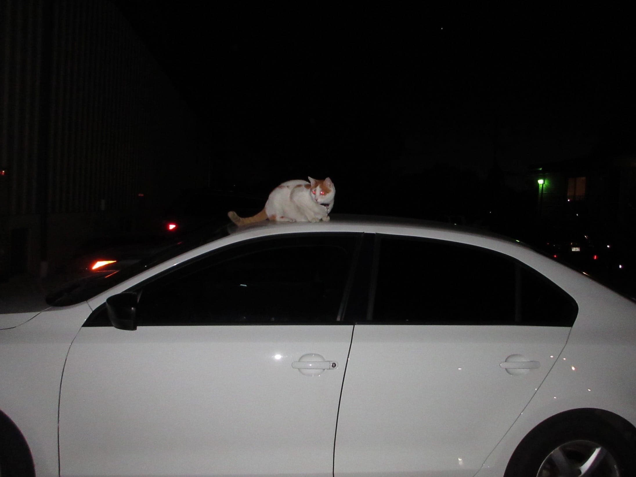 George on top of a car