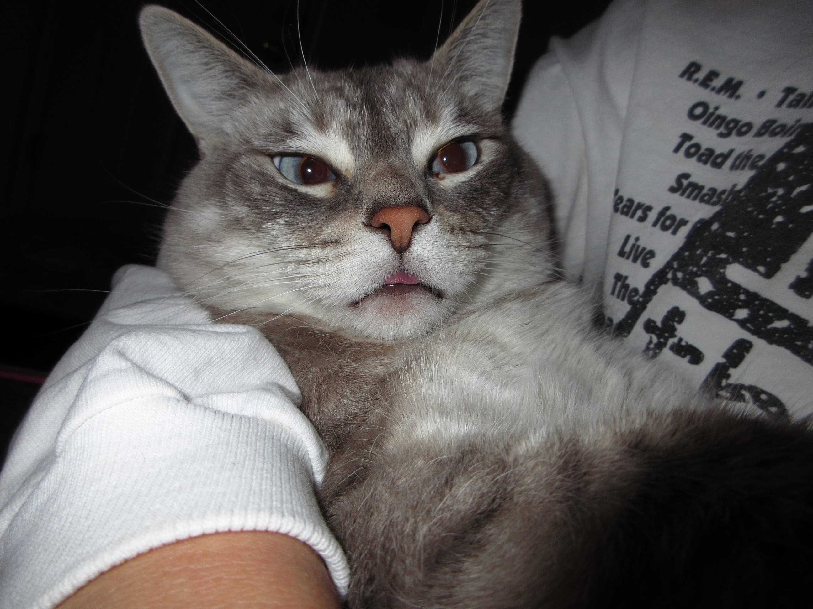 Lyla sticking out her tongue